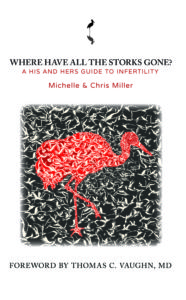 Where Have All the Storks Gone_High Res Cover